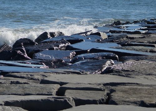 beach shore rocks