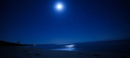 beach night moon