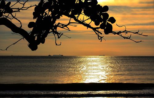 beach itajai santa catarina