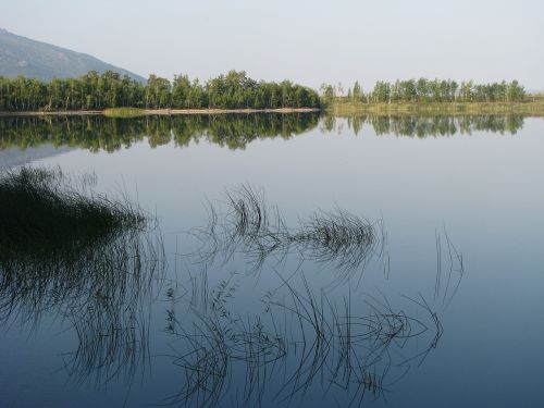 beach lake grass