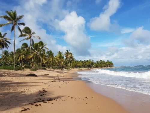 beach landscape nature