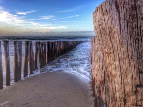 beach water sea