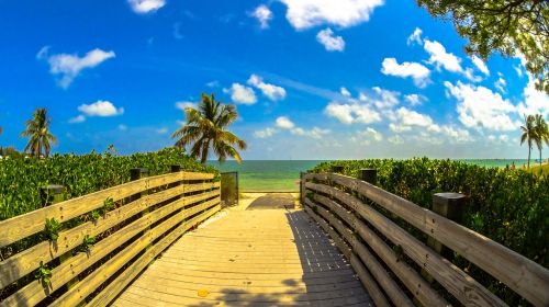 beach miami landscape