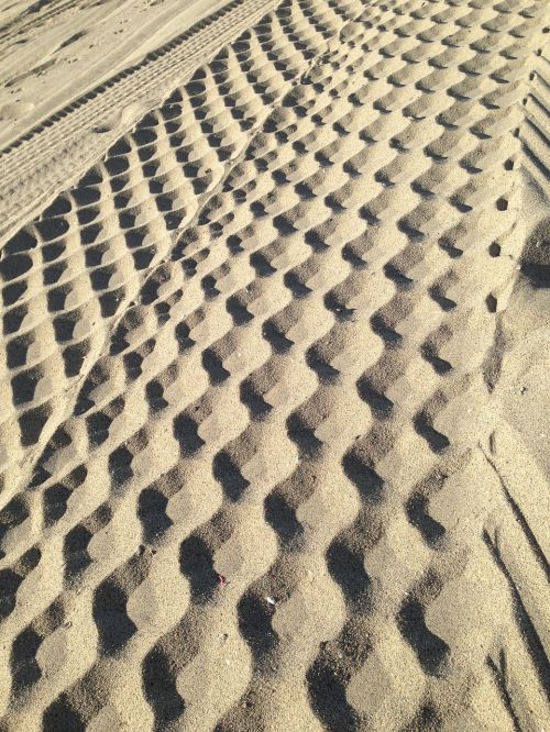 beach sand tire tracks