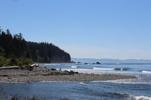 beach sunny summer