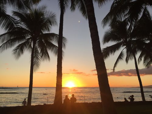 beach sunset couples