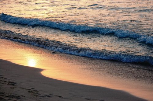 beach wave water