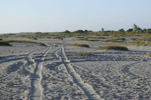 beach sand path