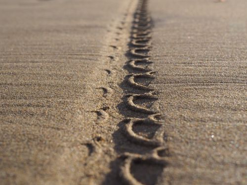 beach sand tire track