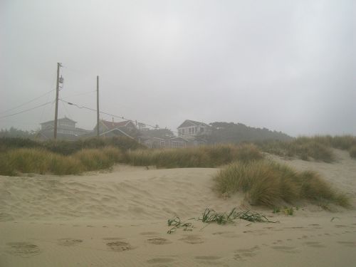 beach sand grass