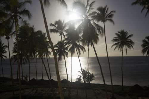 beach night day