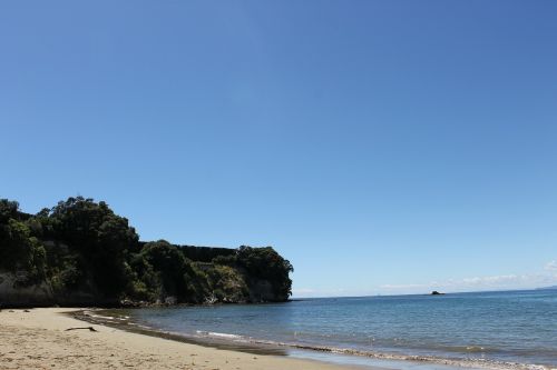 beach new zealand sunshine