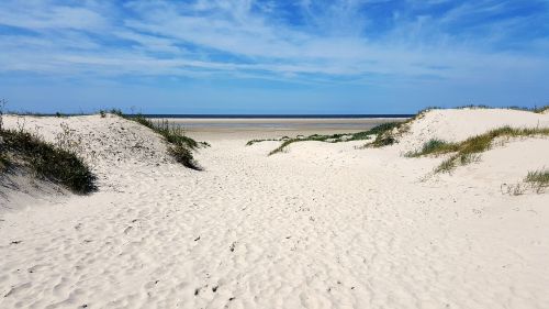 beach north sea by the sea