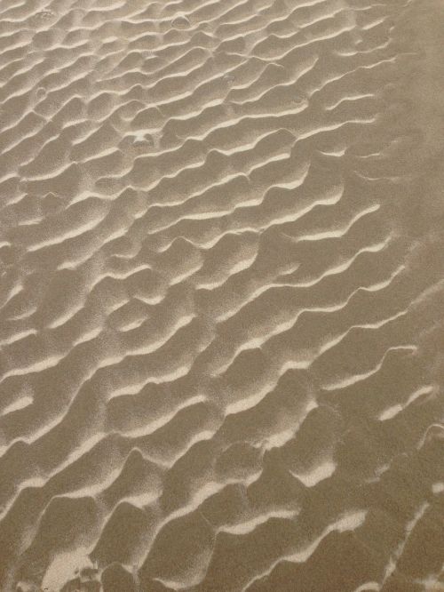 beach sand nature