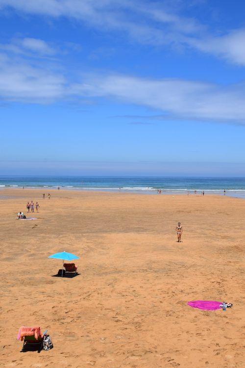 beach parasol sea