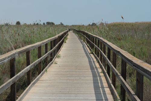beach path walk