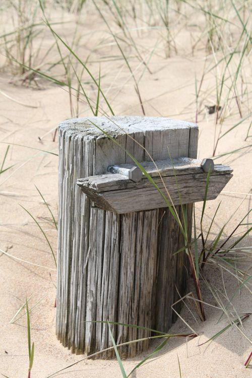 beach sand stump