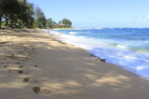 beach sand sea