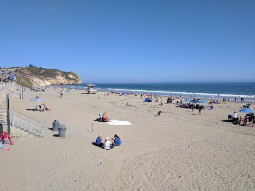 beach nature ocean