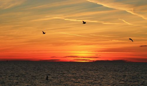 beach sun clearwater beach