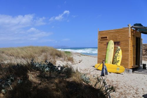 beach surfboard summer