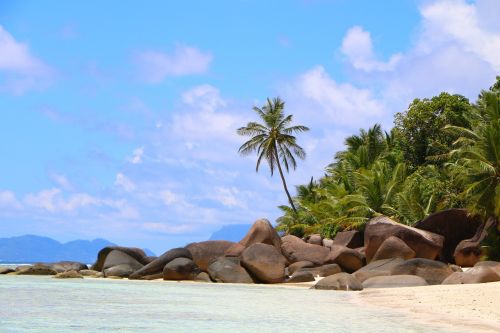beach seychelles tropical