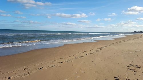 beach shore shoreline