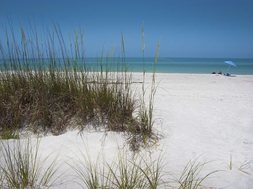 beach sand dunes
