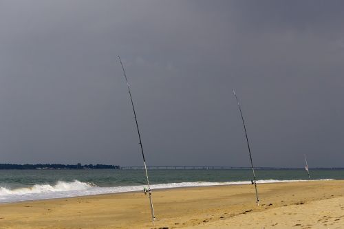 beach fishing ocean
