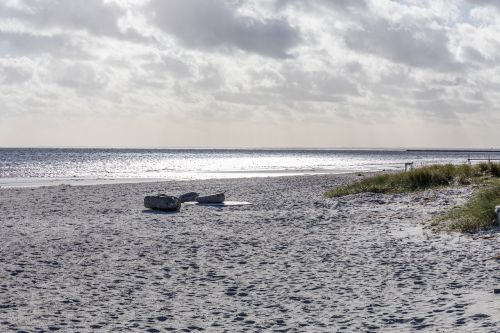 beach hundige autumn