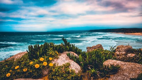 beach coastline ocean