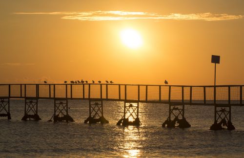 beach sunrise sea