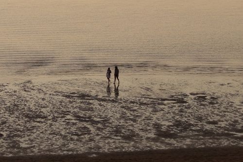 beach landscape nature