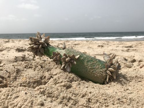 beach sea message in a bottle