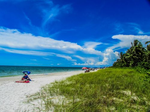 beach naples ocean