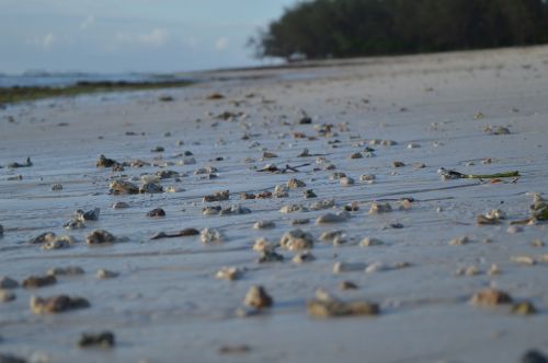 beach cloudy sea