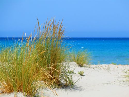 beach sardinia sea