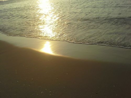 beach shore waves