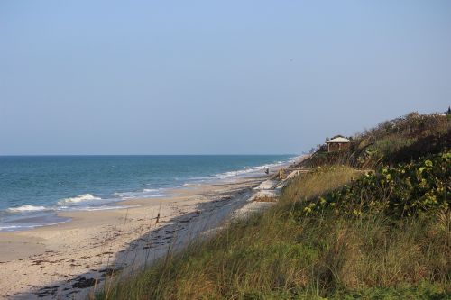 beach nature florida