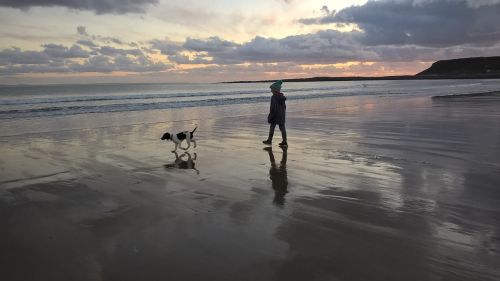beach walking dog