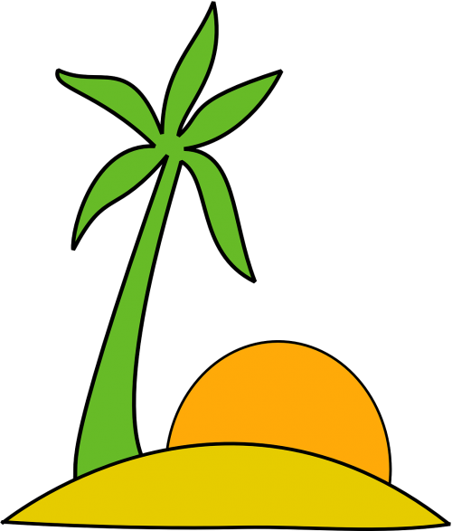 beach palmtree sun set