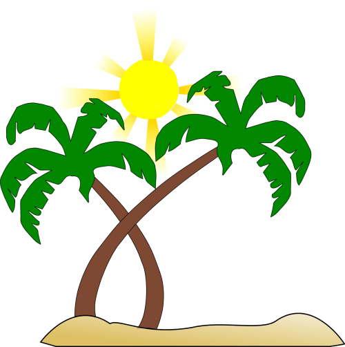 beach palm tree sun