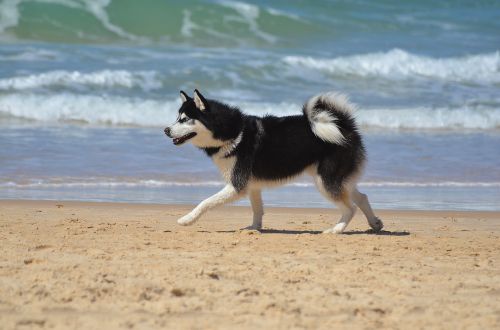 beach sand water