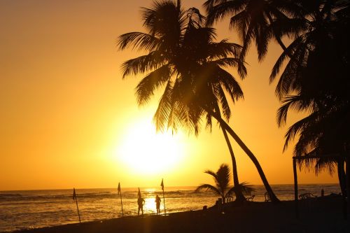 beach sunset sun