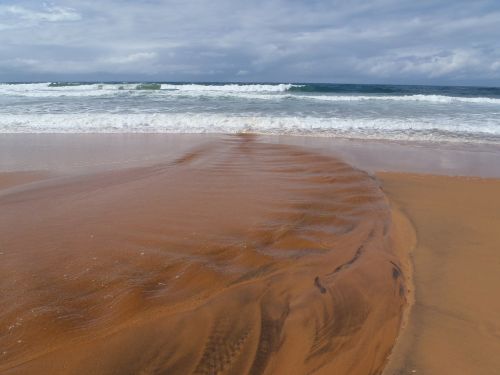 beach sydney beach australia