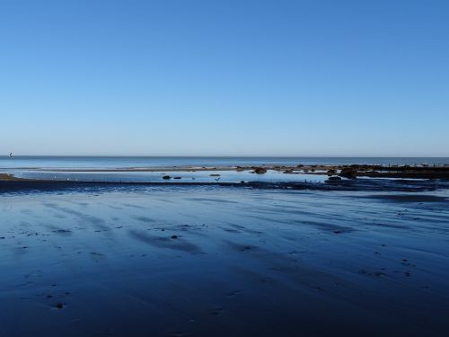 beach shore ocean