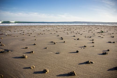 beach sand coast