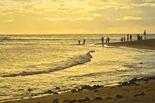 beach  sunset  ocean