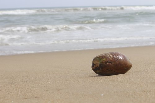 beach  sand  sea