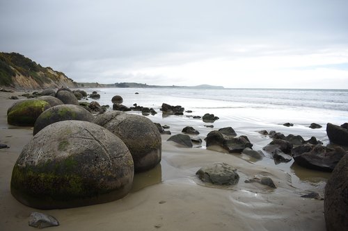 beach  seashore  sea